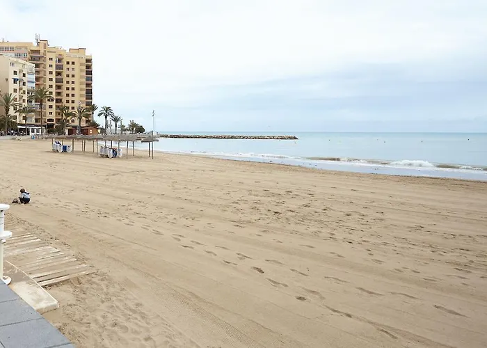 Lenas Pedro Lorca * Torrevieja