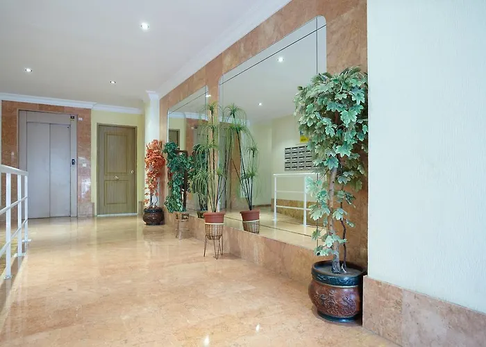 Lenas Pedro Lorca Torrevieja