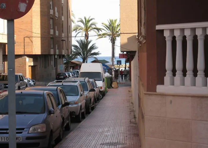 Lenas Pedro Lorca Torrevieja